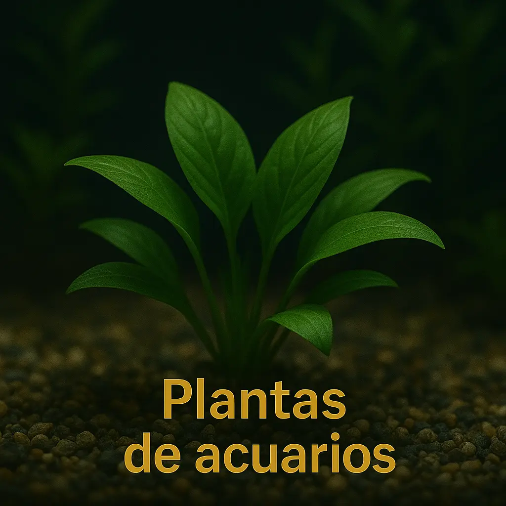 Plantas para acuarios